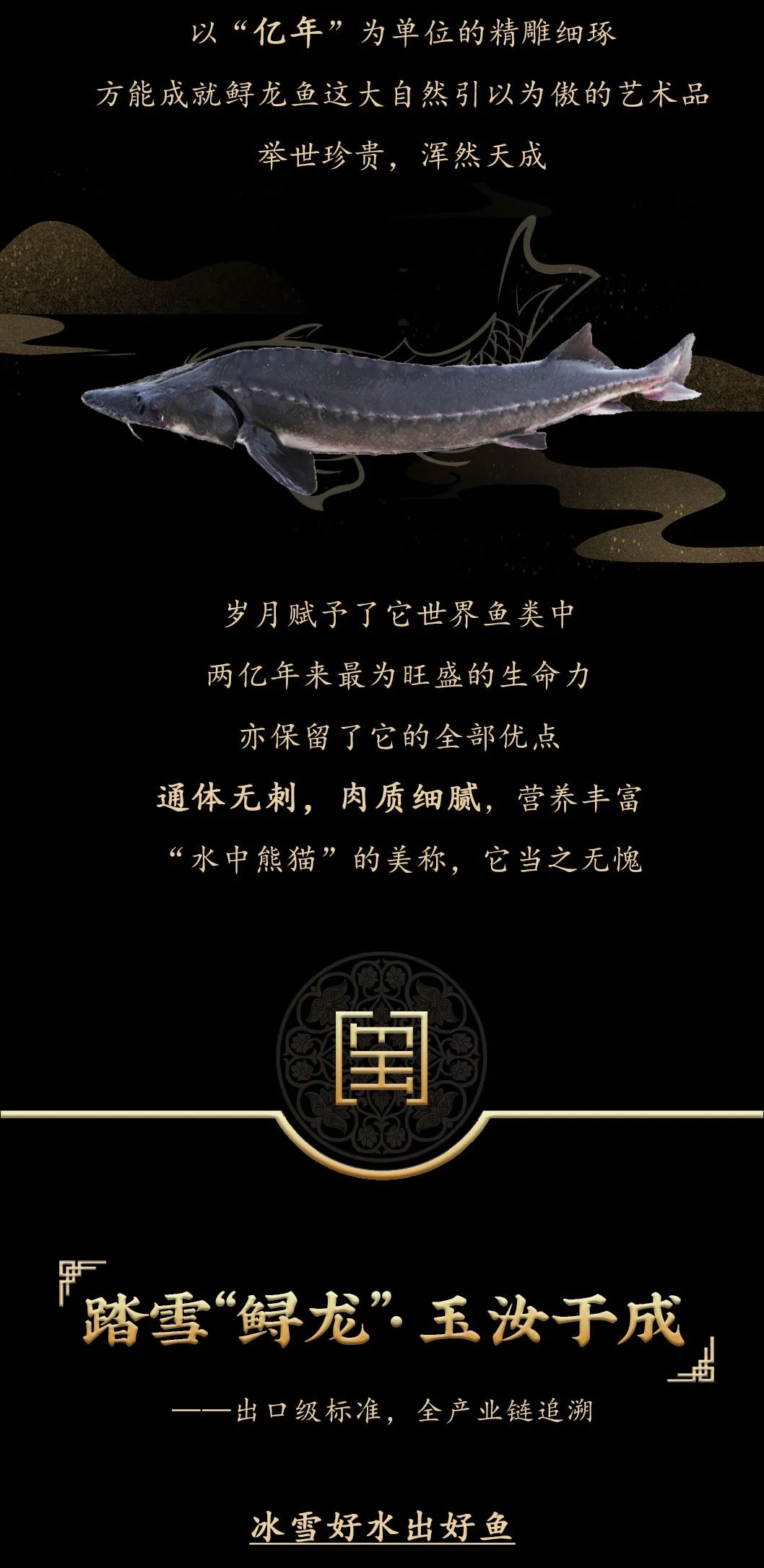 九州鱘龍魚片上新 | 自然臻藏，獻給吃魚有講究的人